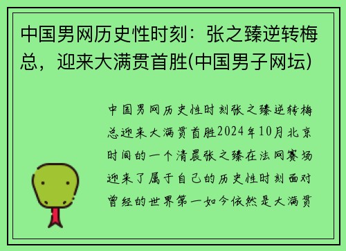 中国男网历史性时刻：张之臻逆转梅总，迎来大满贯首胜(中国男子网坛)